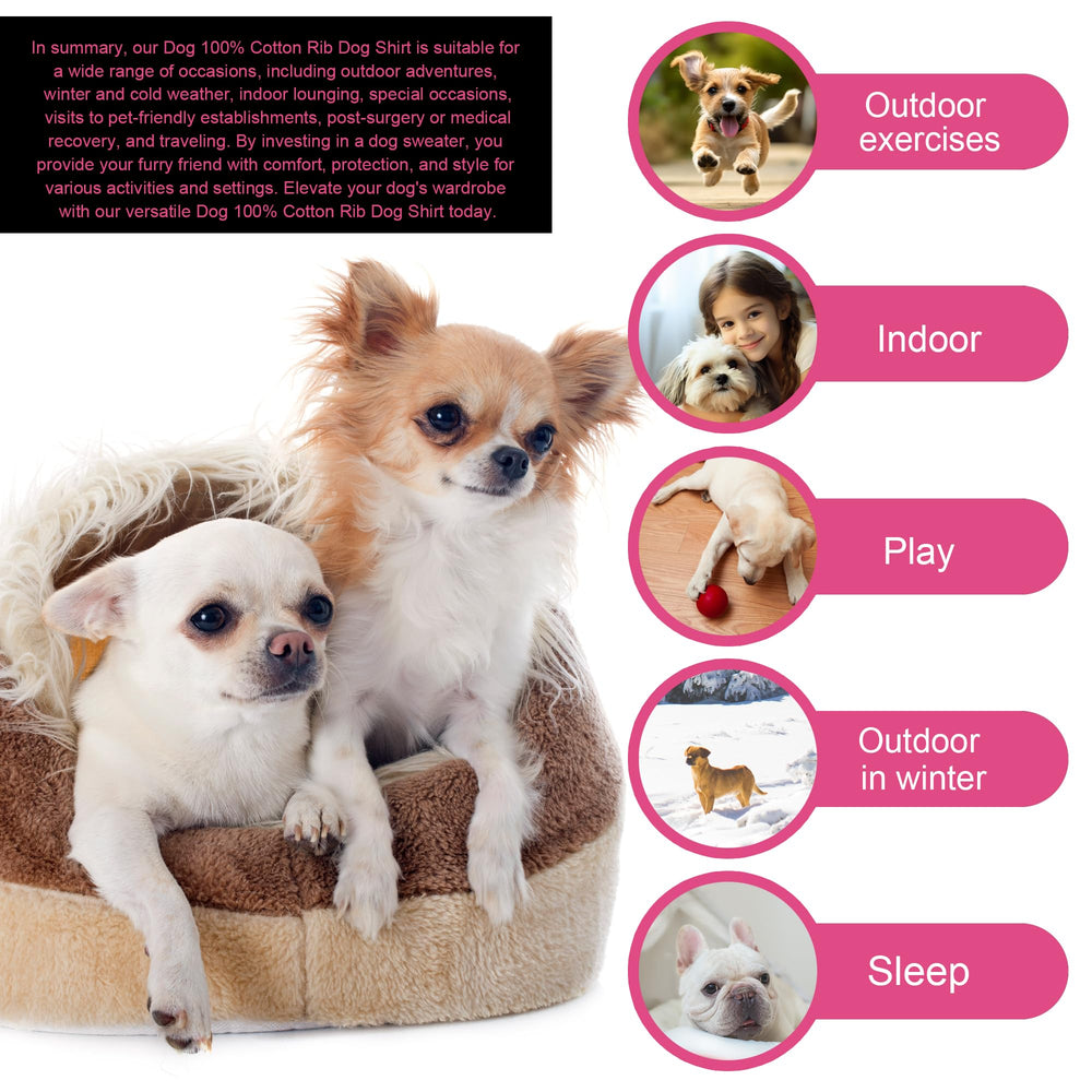 Paiaite ideal para paseos al exterior con perro pequeño
