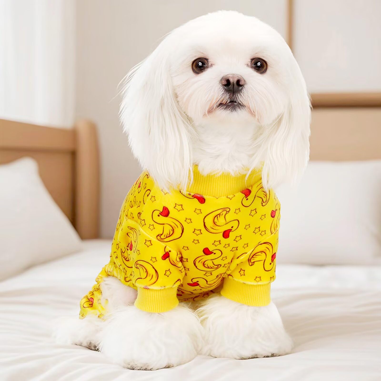 Paiaite Pijama para Perro con ajuste universal para tallas S M y L