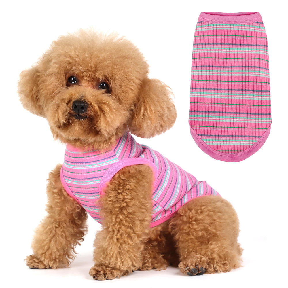 Camiseta Paiaite talla grande para perros pequeños, uso diario