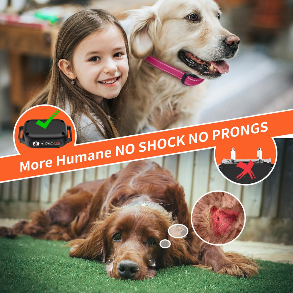PaiPaitek collar ajuste para mascotas, se adapta a razas pequeñas y grandes