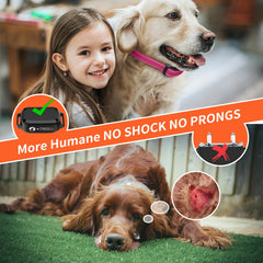 PaiPaitek collar ajuste para mascotas, se adapta a razas pequeñas y grandes