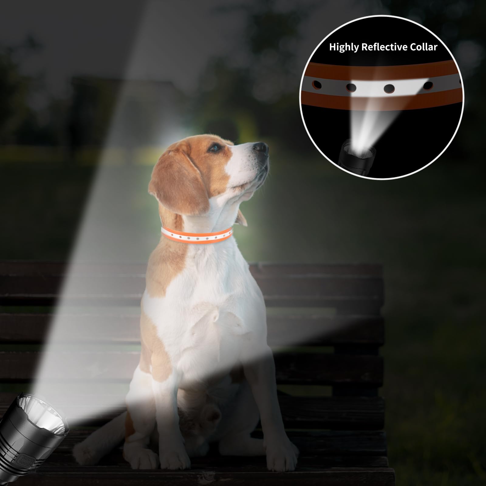 Paipaitek doble pack de correas para entrenamiento y paseos