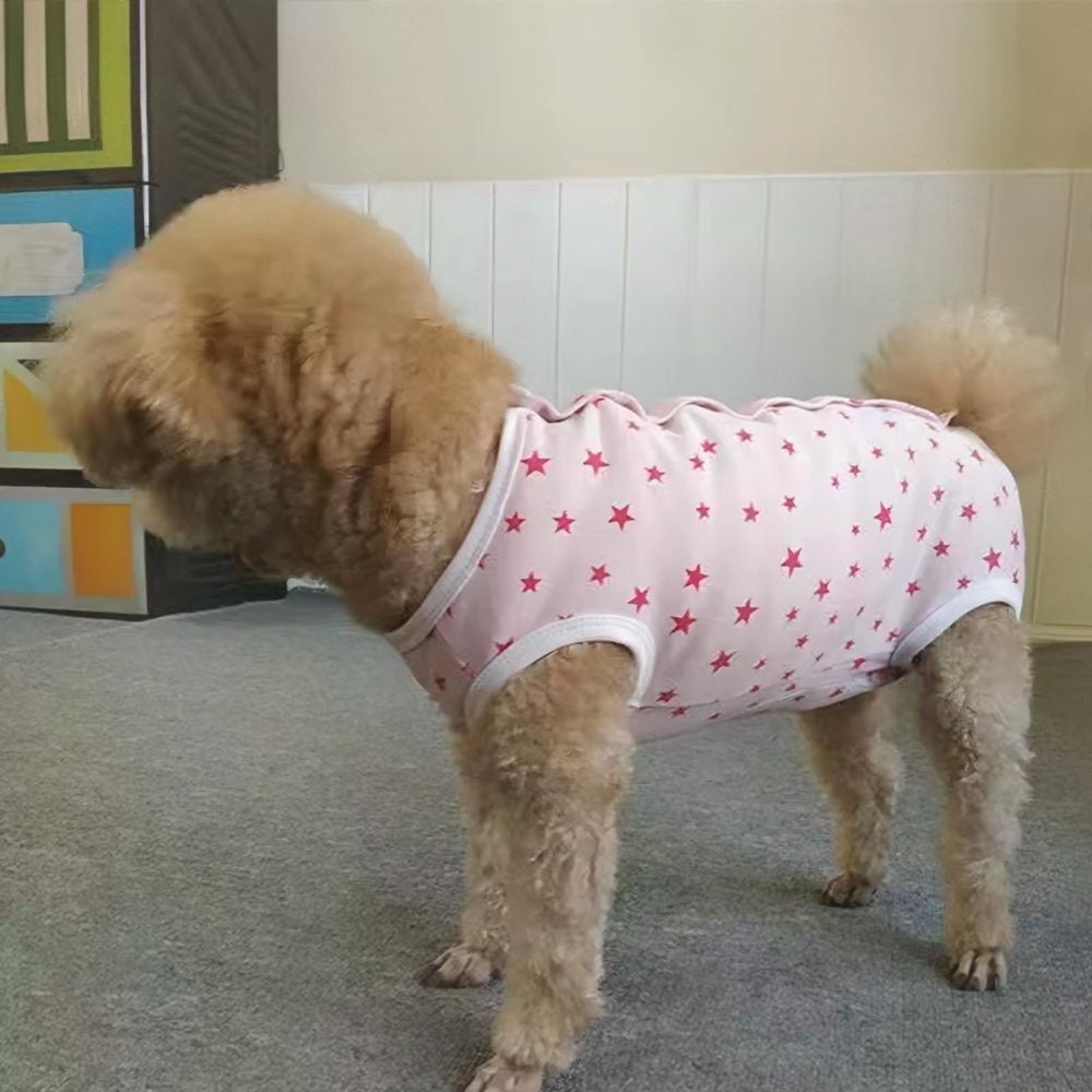 Paipeper traje de recuperación, foco uso interior, evita pelo suelto y mantiene al perro cómodo.