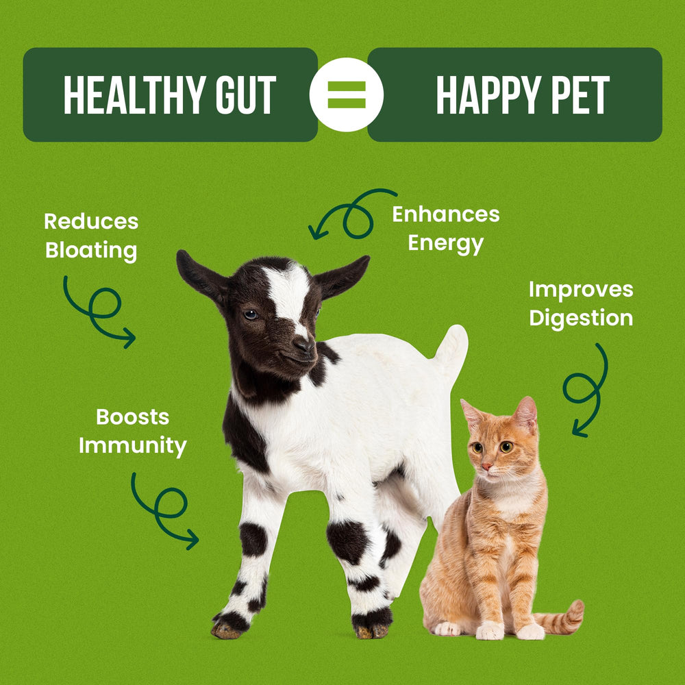 Pair Pet Probiotics: para perros y gatos, mejora la microbiota posible.