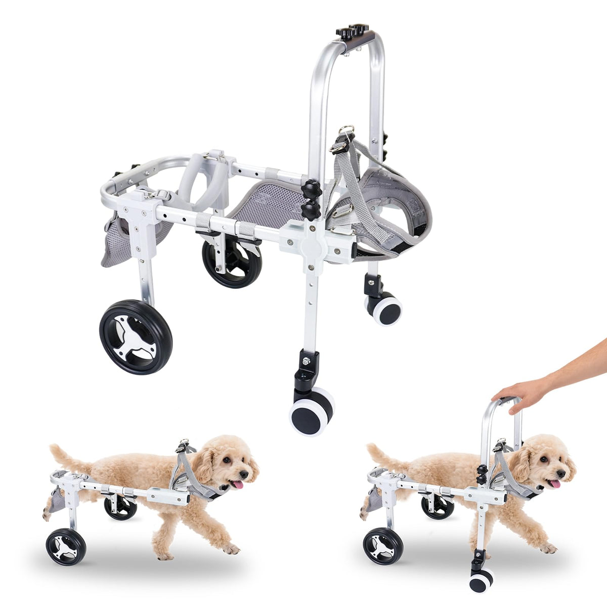 Pakalife silla ruedas para perro traseras con ajuste cómodo