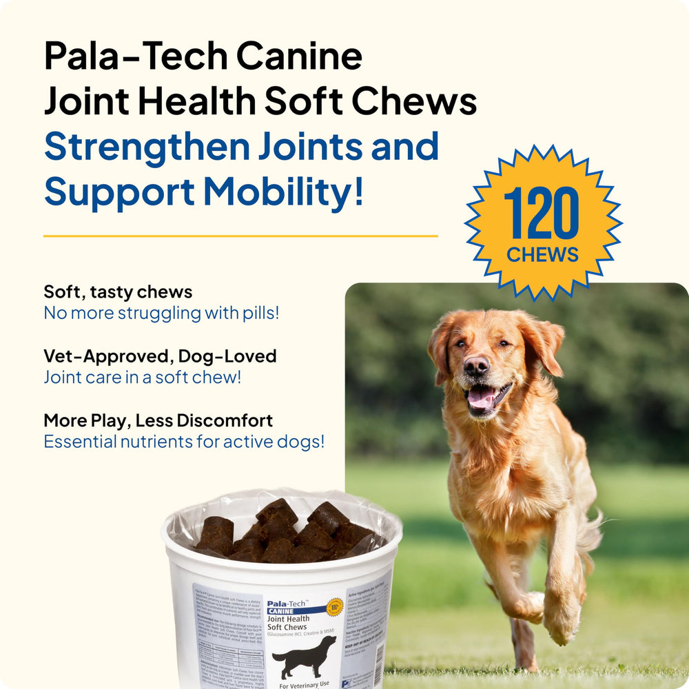 Pala-Tech masticables suaves con sabor para perros, facilita la administración diaria.