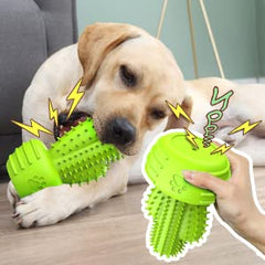 Pamlulu juguete duro tipo cactus para perros, ideal para masticar y jugar
