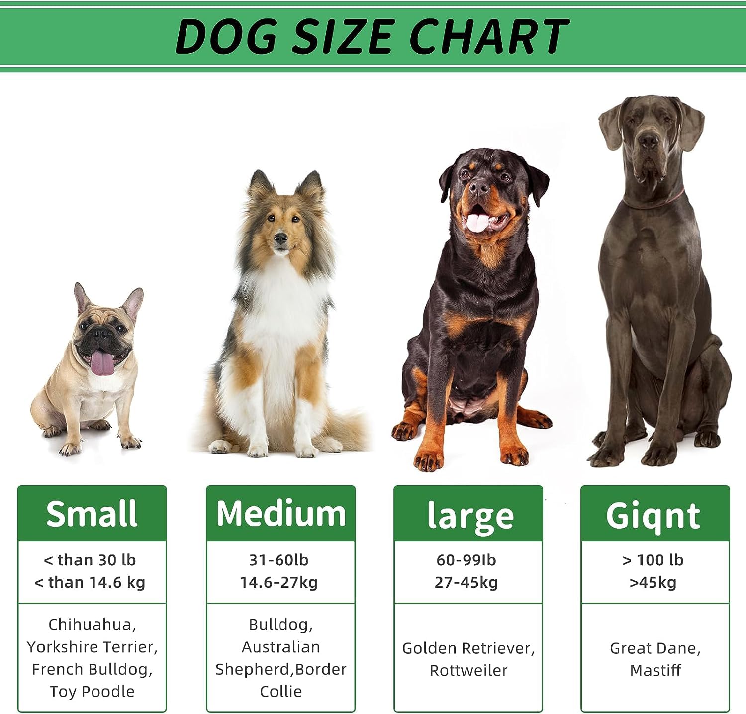 Pamlulu juguete sonoro para perros, añade diversión durante el cepillado