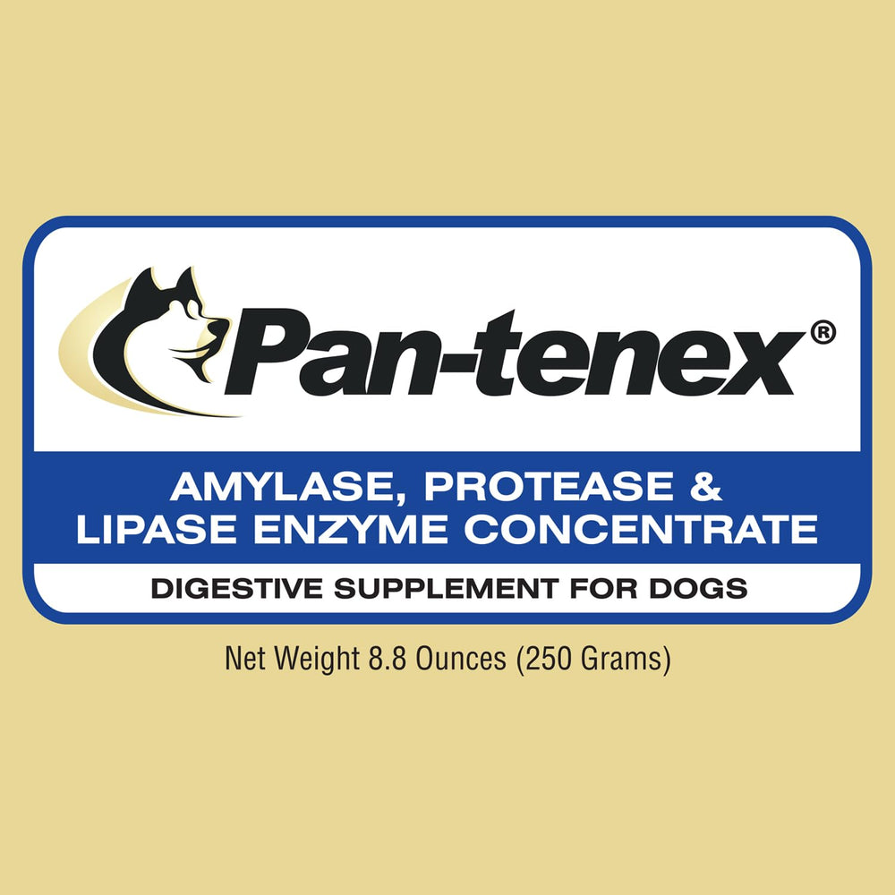 Pan-tenex polvo de enzimas pancreáticas para perros, favorece la absorción de nutrientes.