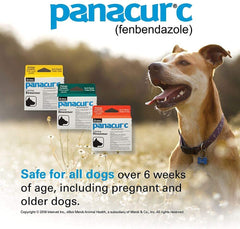 Panacur C: seguro para perros desde 6 semanas, incluido embarazo.