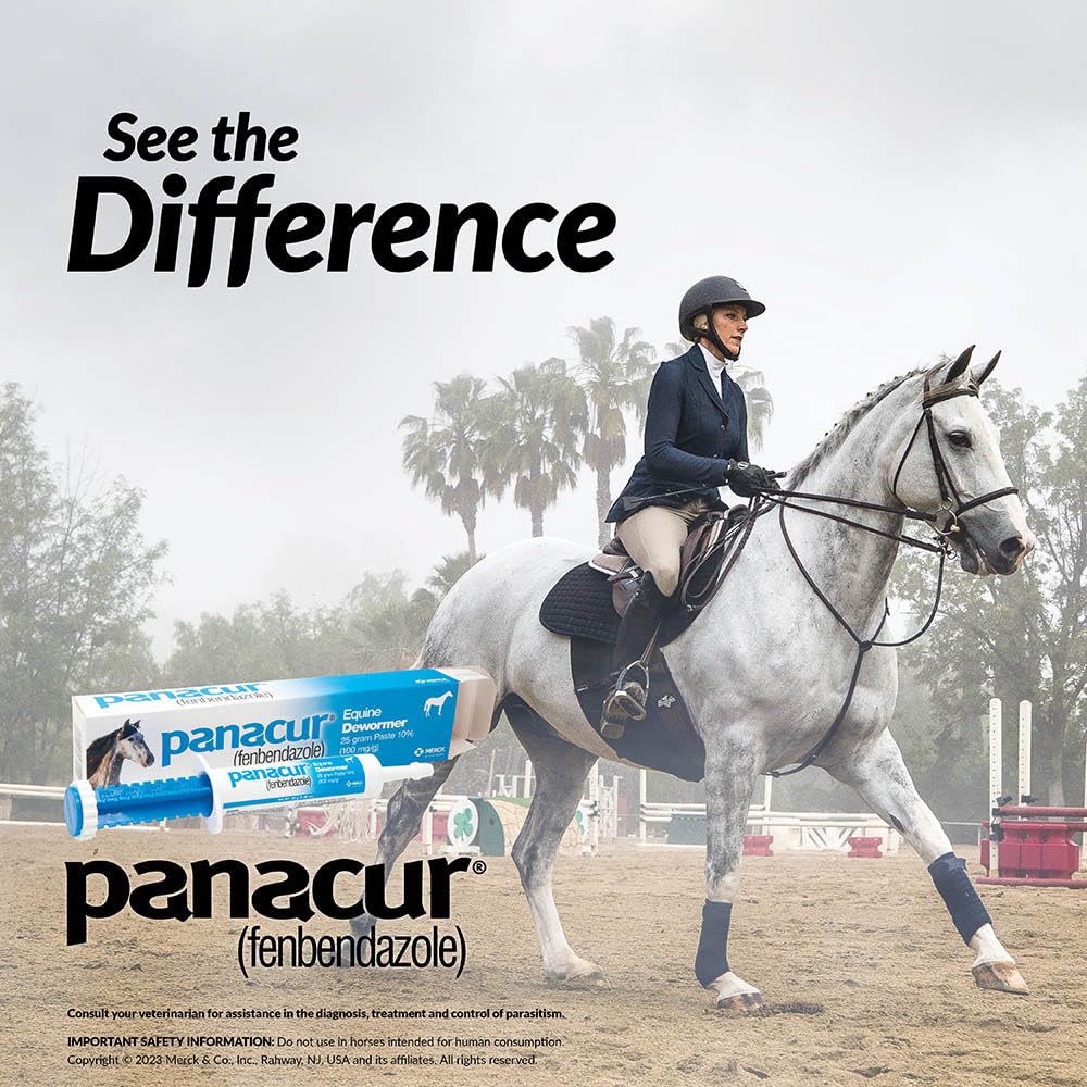 PANACUR con sabor a manzana canela, opción atractiva para caballos