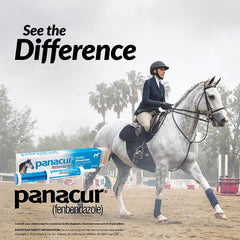 PANACUR con sabor a manzana canela, opción atractiva para caballos