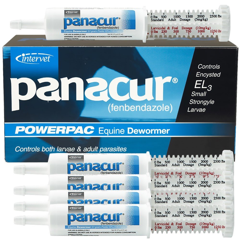 Panacur Powerpac: cinco jeringas de 57 g para control de parásitos en caballos, administración oral.