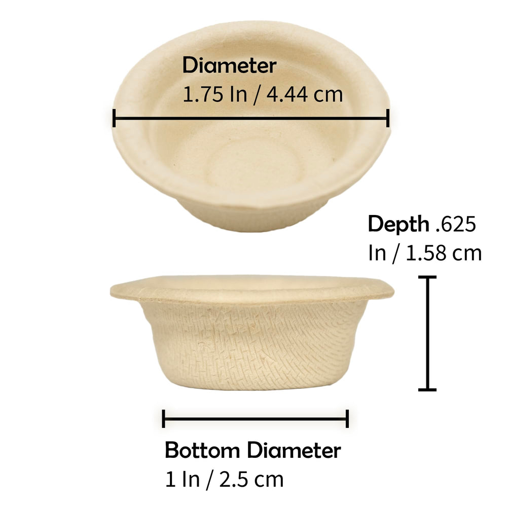 Copa de papel Pangea en soporte de piedra, estable para uso diario.