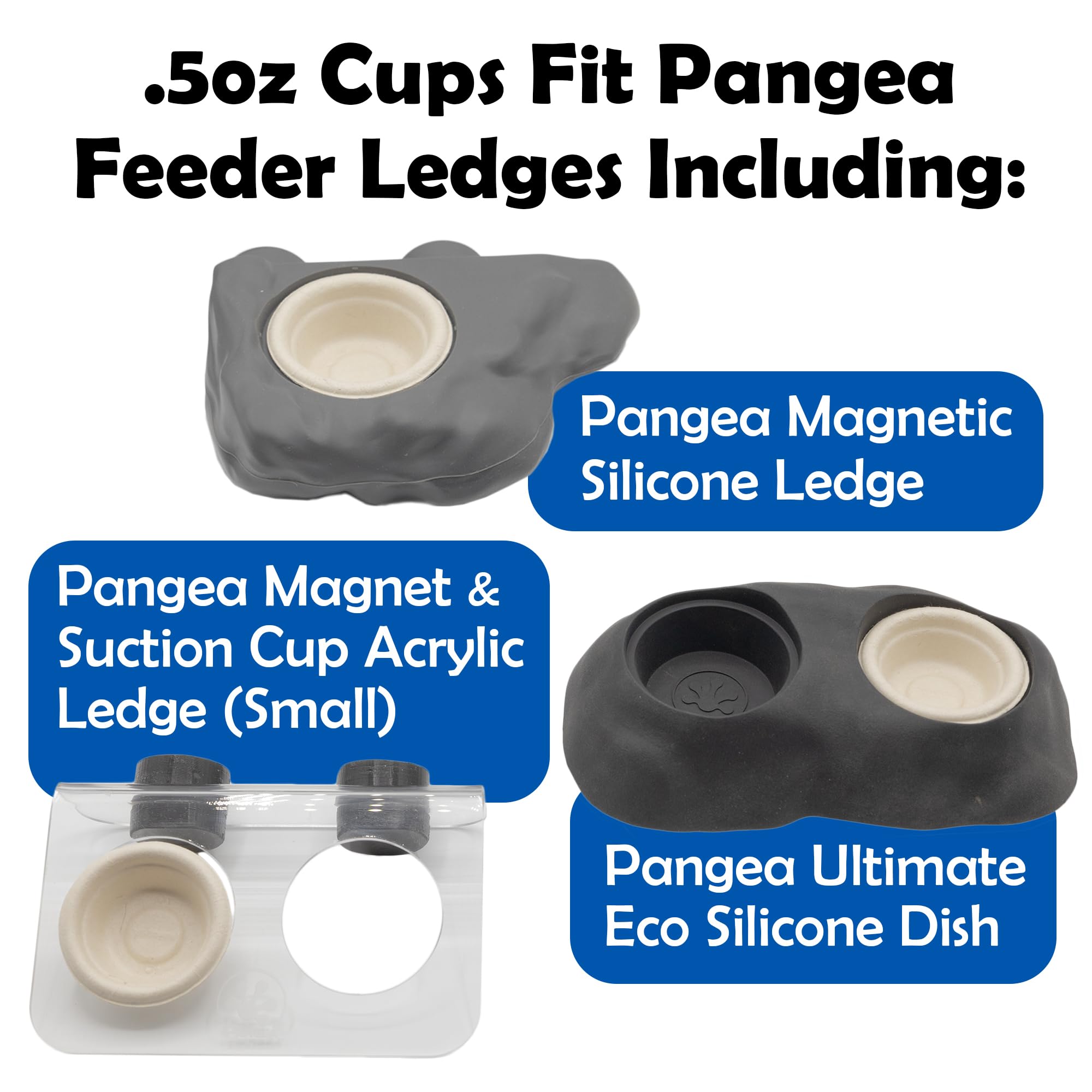 Copa Pangea Gecko para Gecko Diet, opción desechable y práctica.