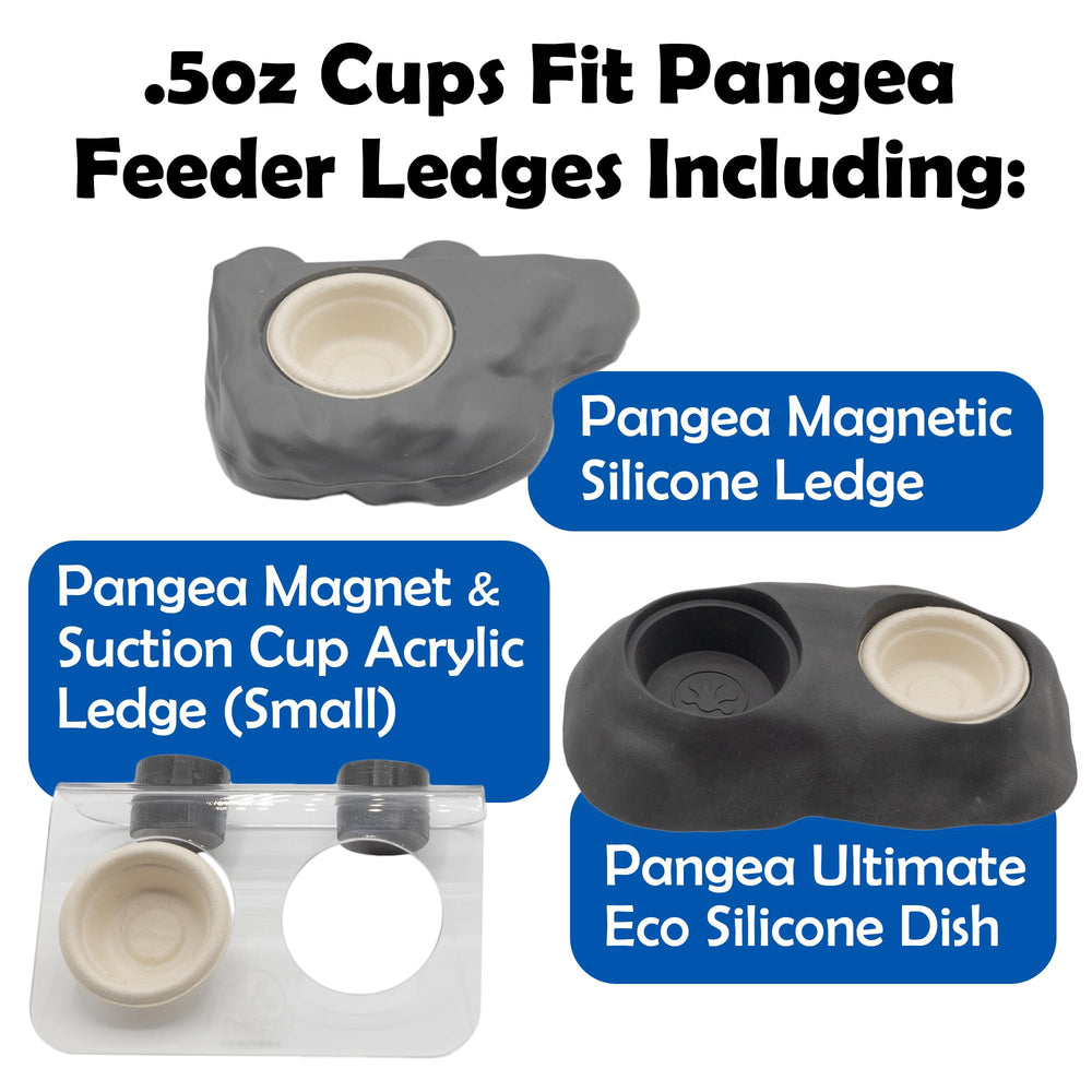 Copa Pangea Gecko para Gecko Diet, opción desechable y práctica.