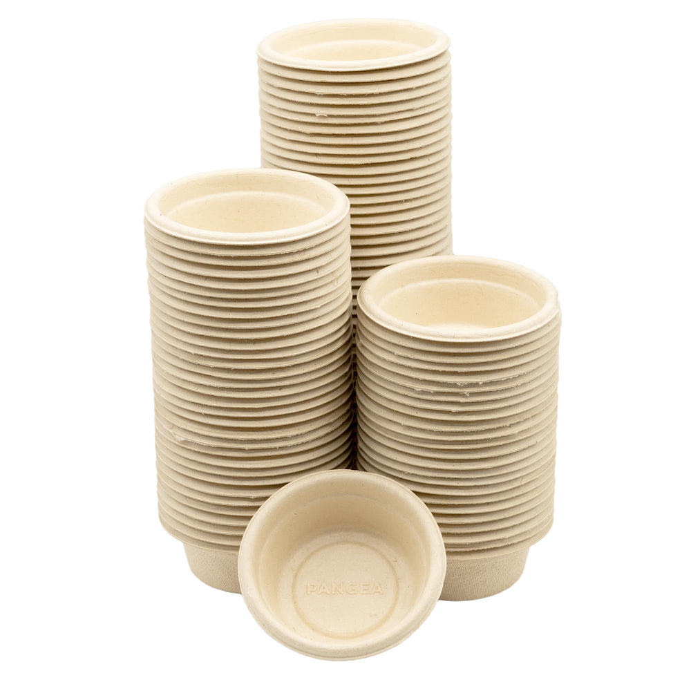 Copa de papel Pangea grande 1-5oz para alimento de geckos crestados.