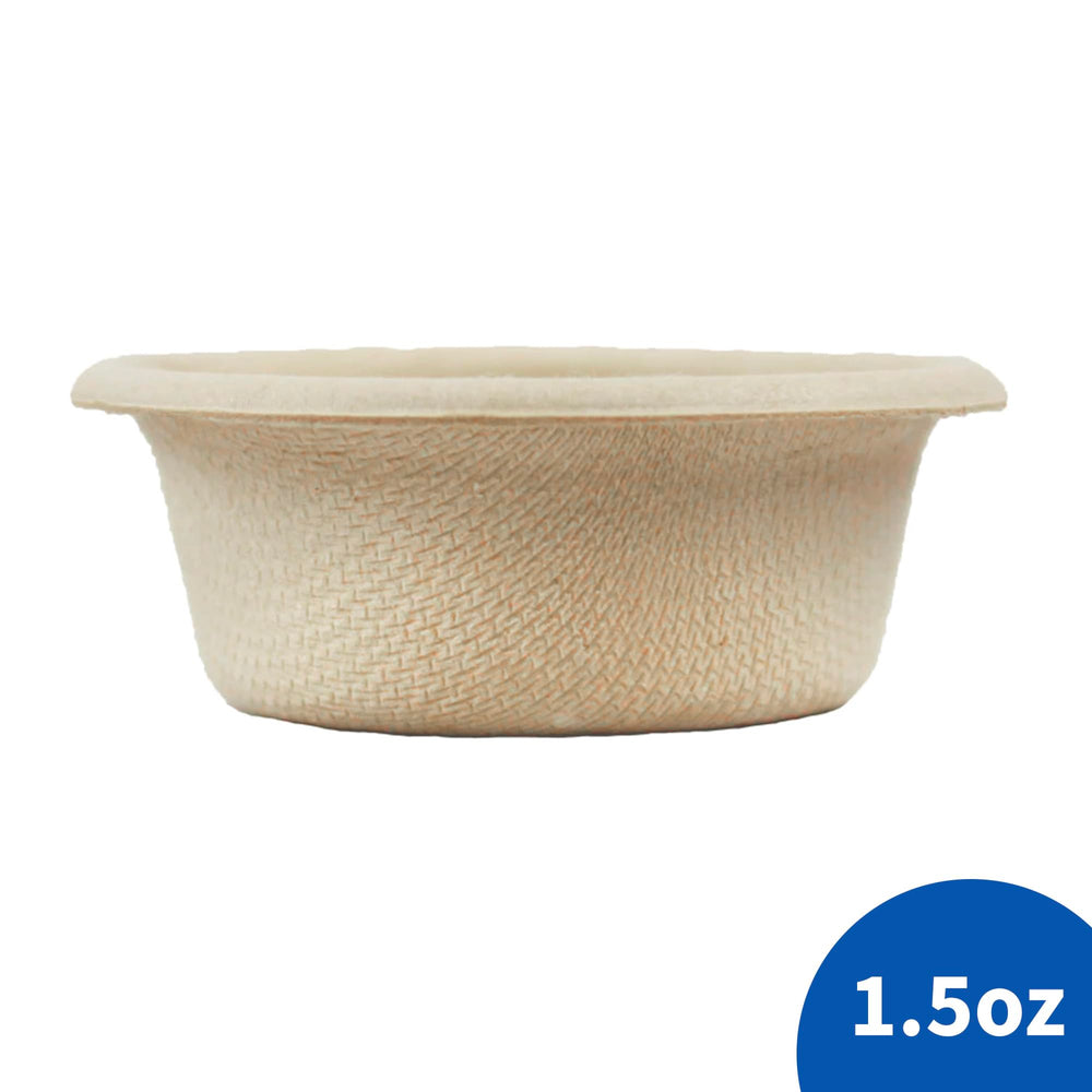 Taza de papel Pangea en soporte para geckos crestados en ledge.