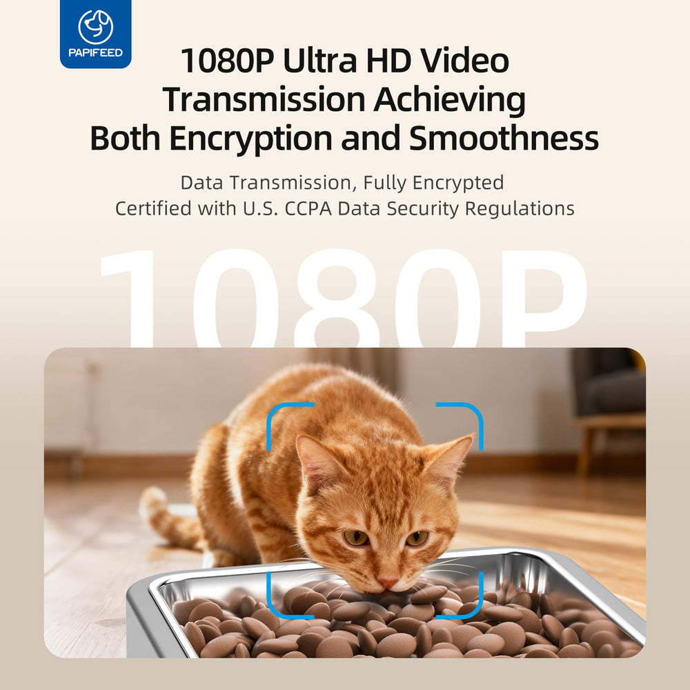 PAPIFEED dos vías de audio para interactuar con el gato