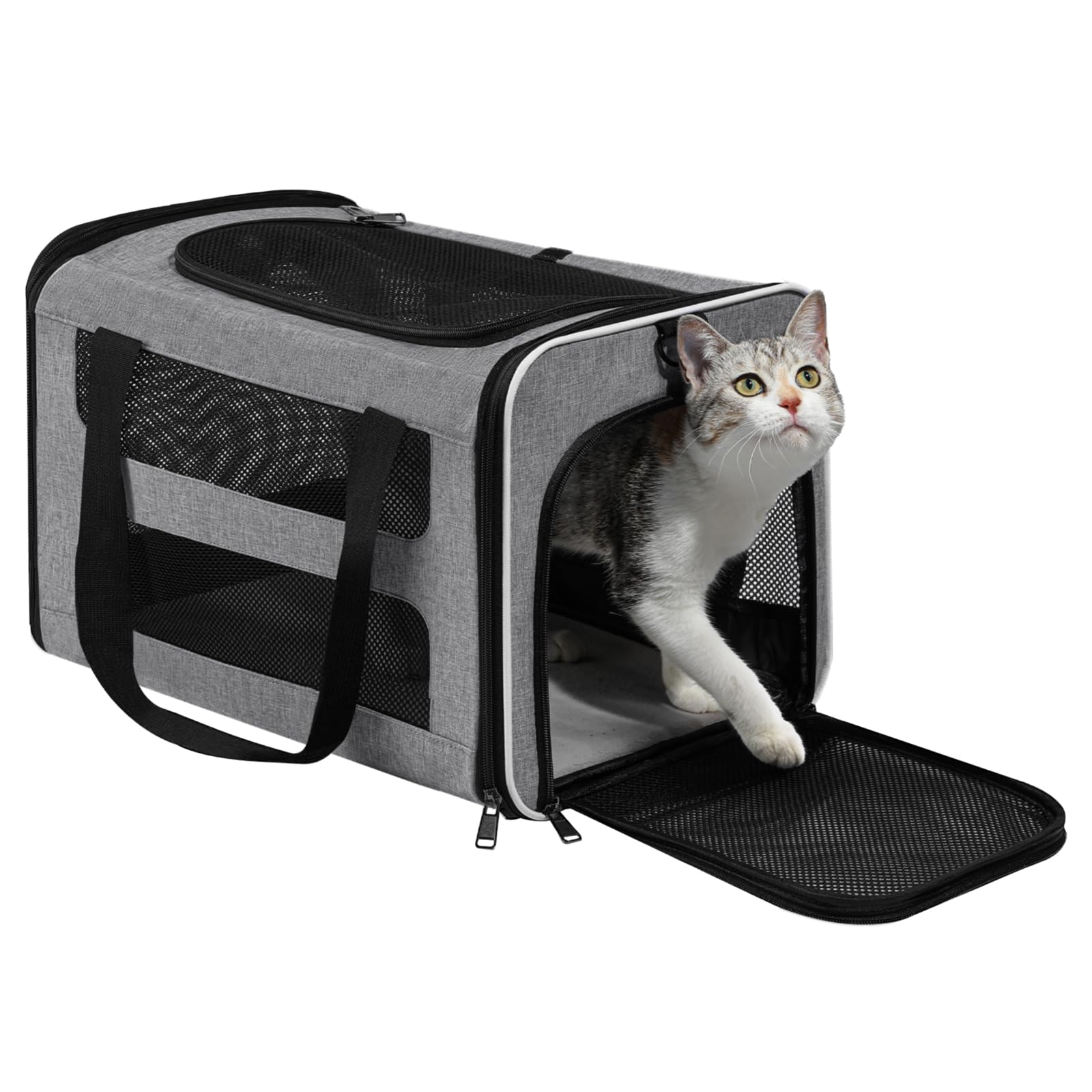 PAPZER Portador gato espacioso con malla ventilada para comodidad.