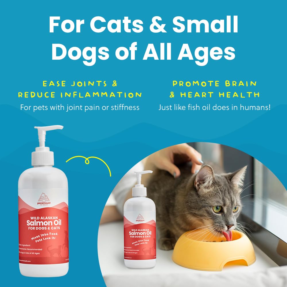 Paramount Pet Health mascota recibiendo dosis con gotero sin estrés.
