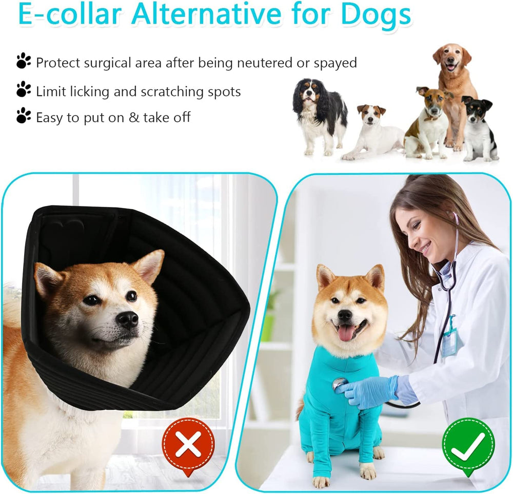 Parderry mono para perro uso diario con diseño práctico.