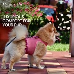 Arnés Parisian Pet rosa con lazo delicado