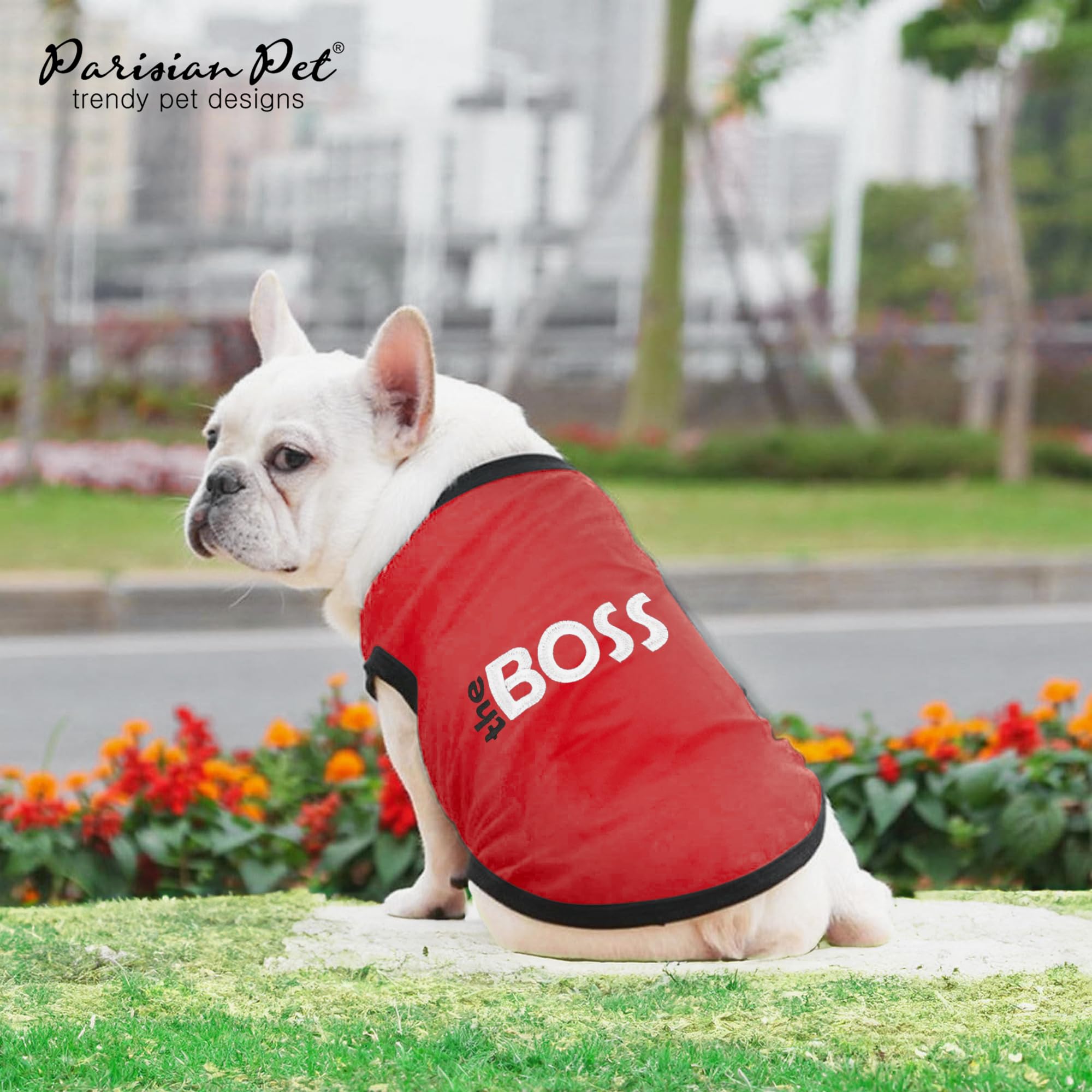 Camiseta Parisian Pet con diseño Boss y contraste, perfecto para sesiones de fotos