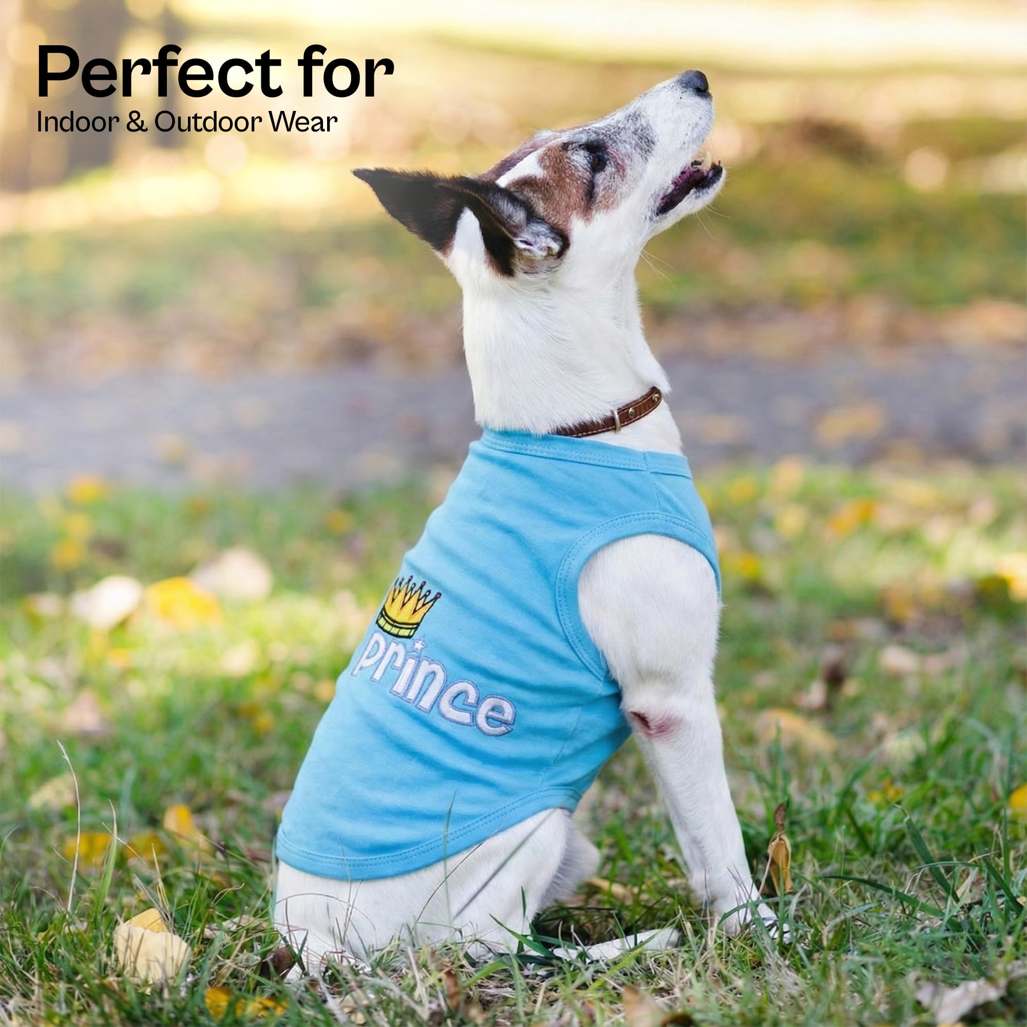 Ajuste cómodo para perros grandes, diseño práctico.
