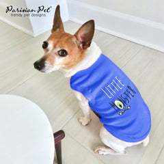 Guía de tallas Parisian Pet para un ajuste cómodo
