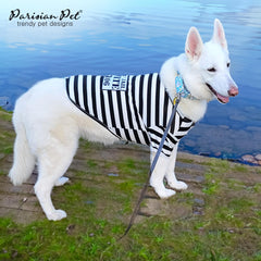 Ajuste preciso Parisian Pet para tallas desde S hasta XL