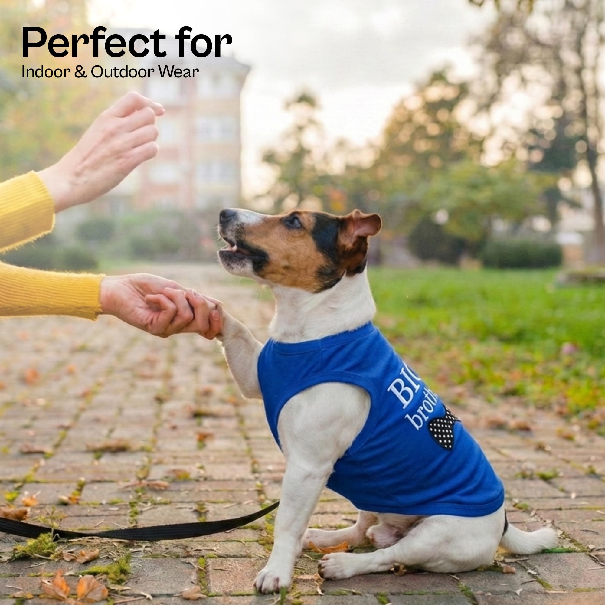 Camiseta Parisian Pet de algodón-elástico permite libertad de movimiento