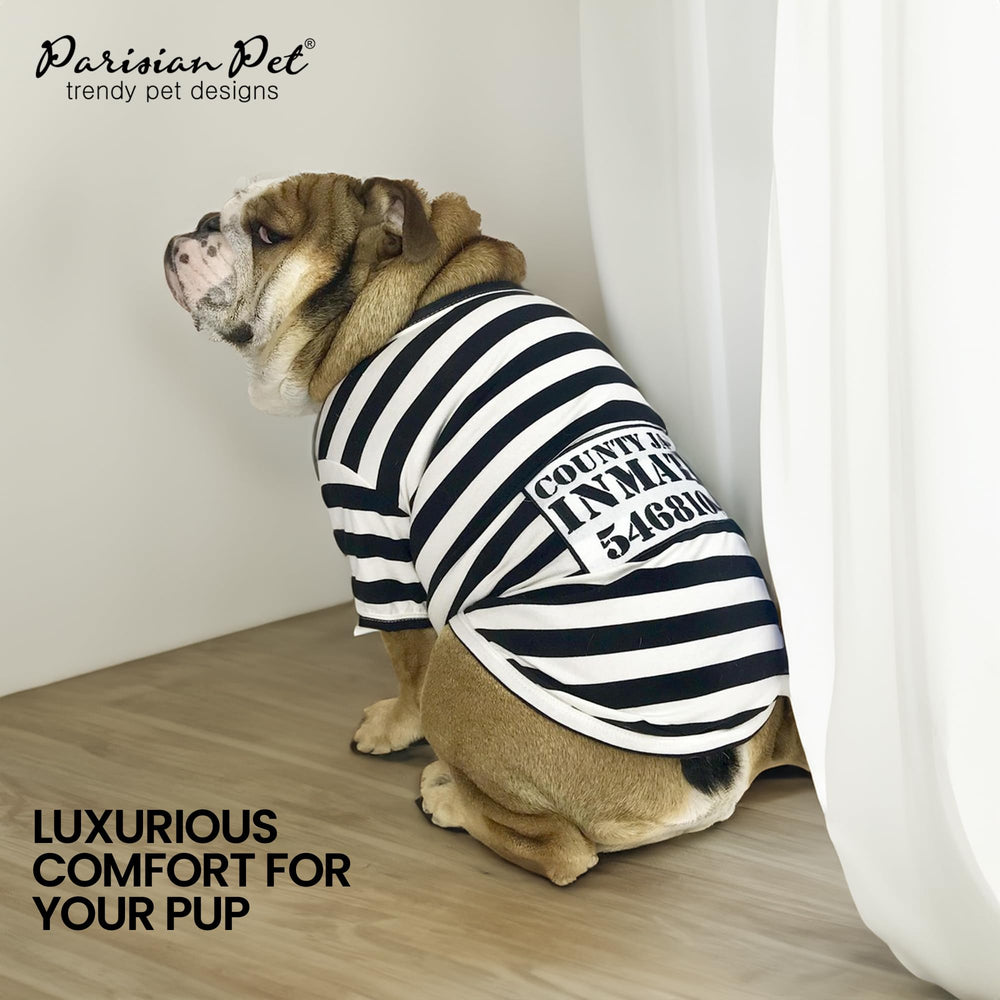 Disfraz elegante Parisian Pet para ocasiones especiales