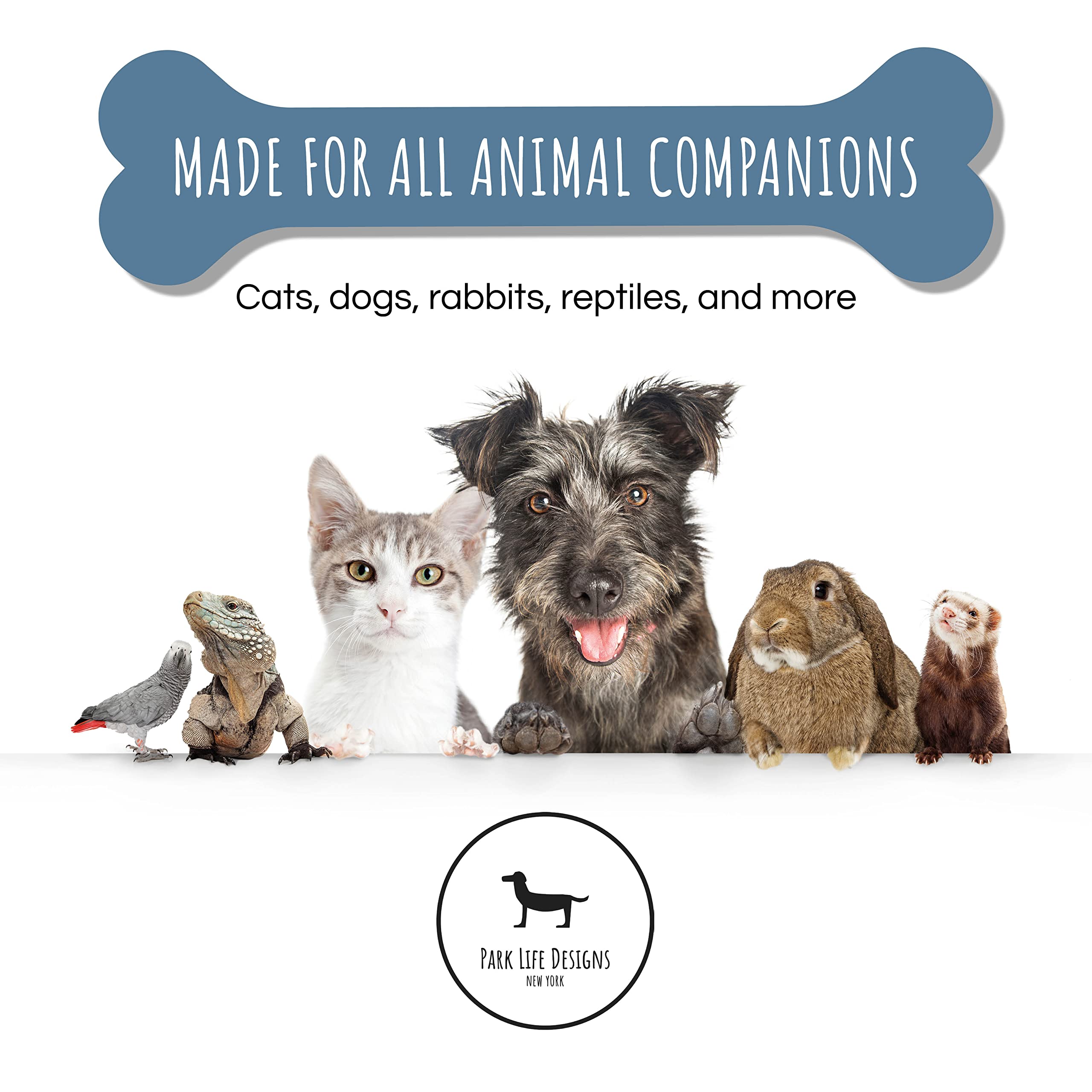 Park Life Designs tazón con dimensiones 2 pulgadas de alto y 6,5 pulgadas de diámetro.