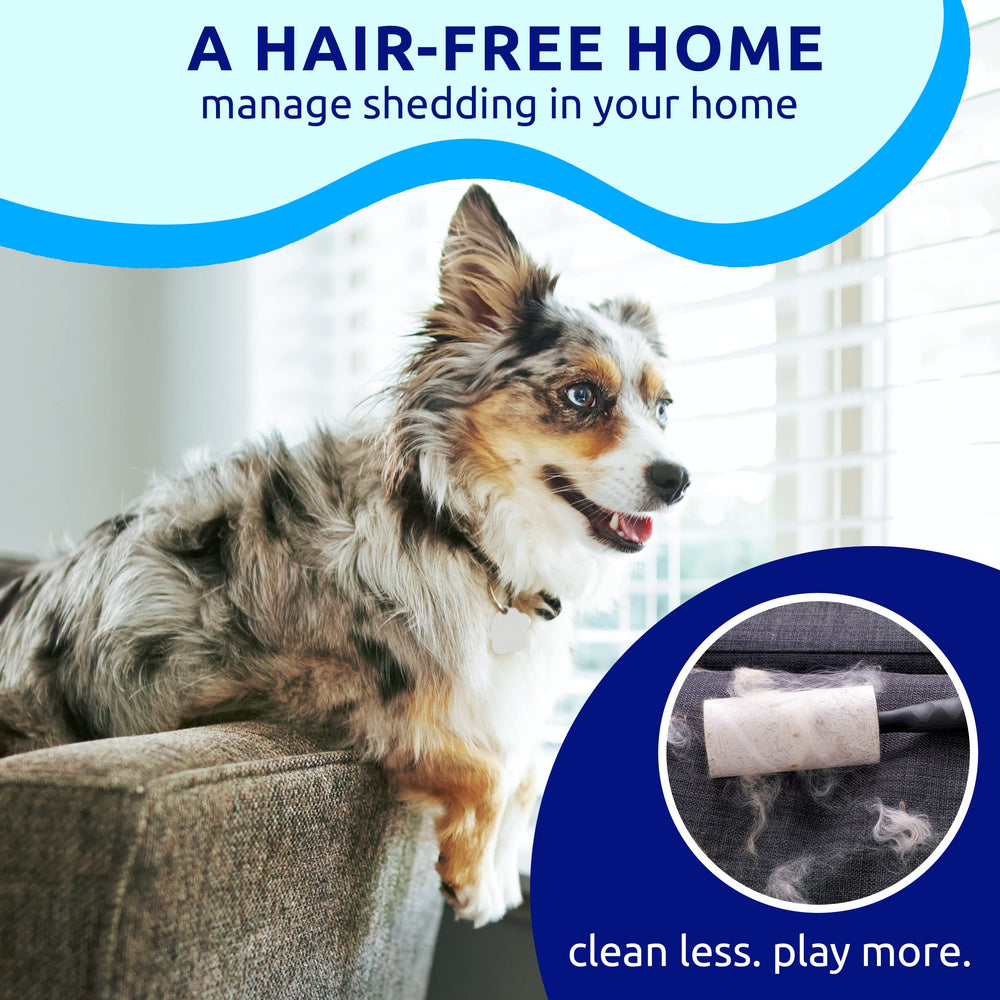Accesorio pata para llavero o collar Pat Your Pet