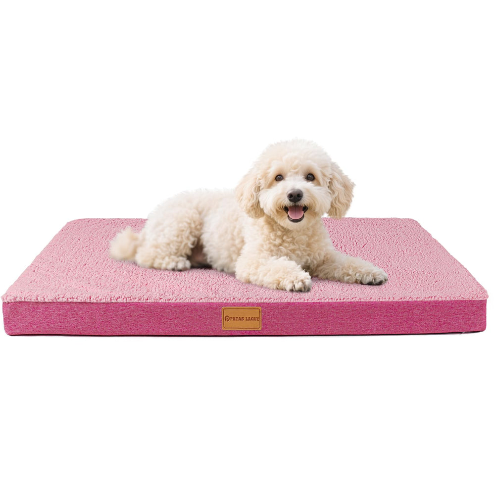 Patas Lague cama ortopédica para perro pequeño ofrece descanso estable.