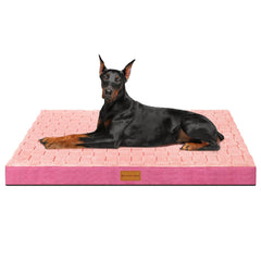 Patas Lague cama ortopédica para perros grandes, vista frontal, soporte estable para articulaciones.