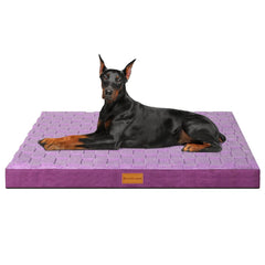 Patas Lague cama ortopedica 56x40, vista frontal, soporte cómodo para perros grandes.