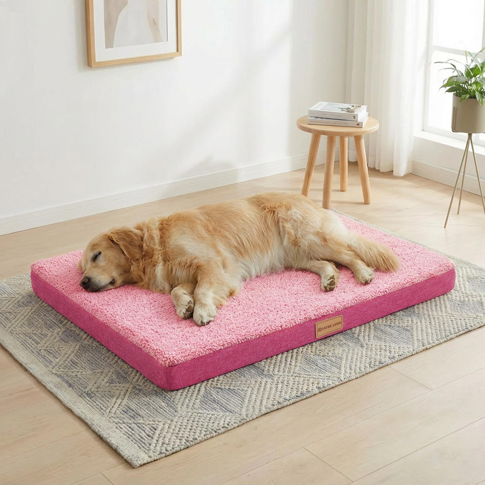 Cama Patas Lague para perros grandes con funda removible, fácil de limpiar.