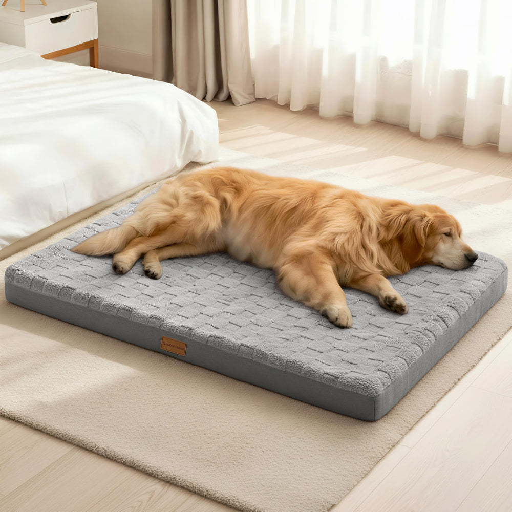 Patas Lague cama perro ortopédica XXL 48x30 para mayor confort y apoyo.