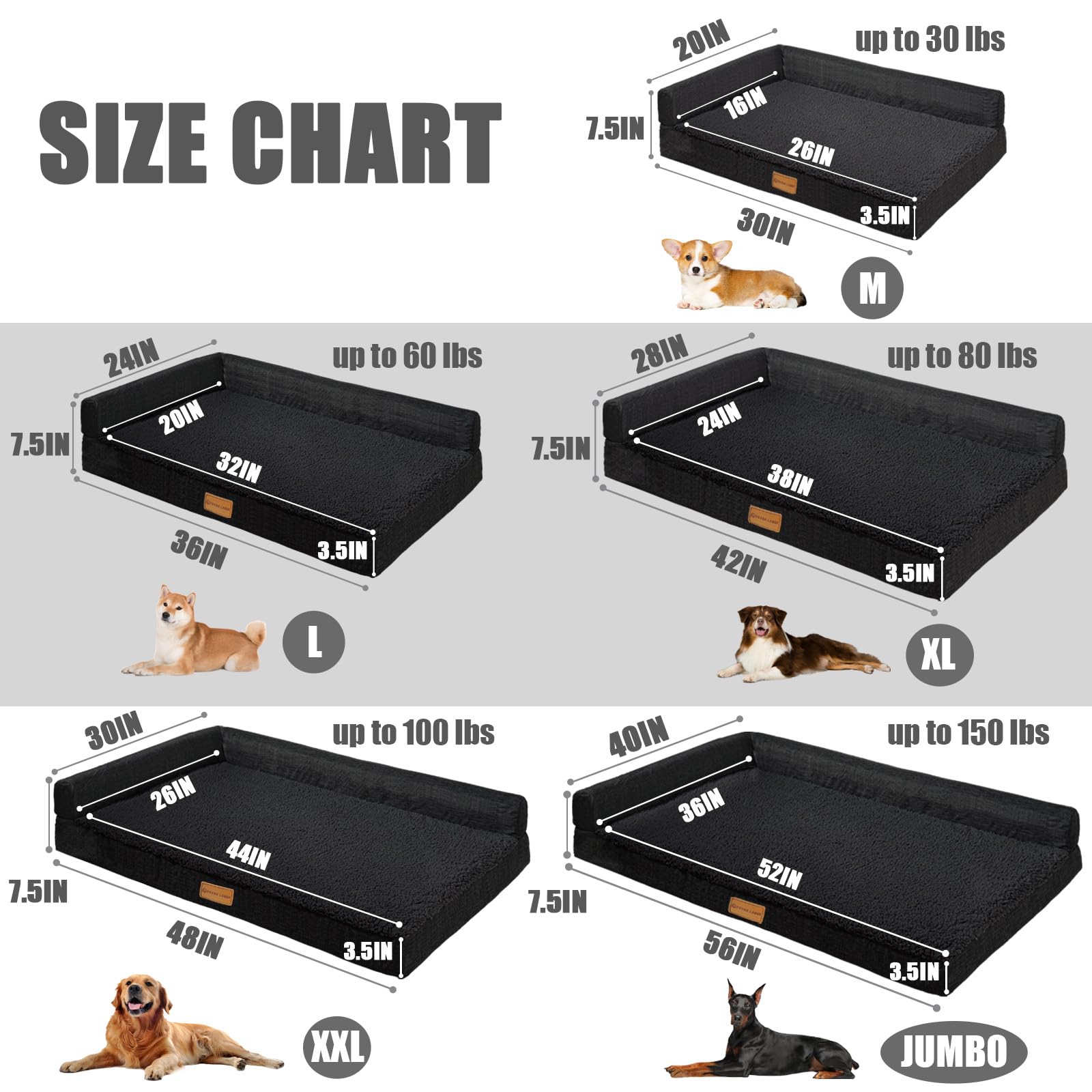 Patas Lague tallas disponibles para perros de diferentes tamaños.