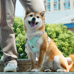 Patas Lague correa de 5 ft para perro con giro 360, evita enredos.