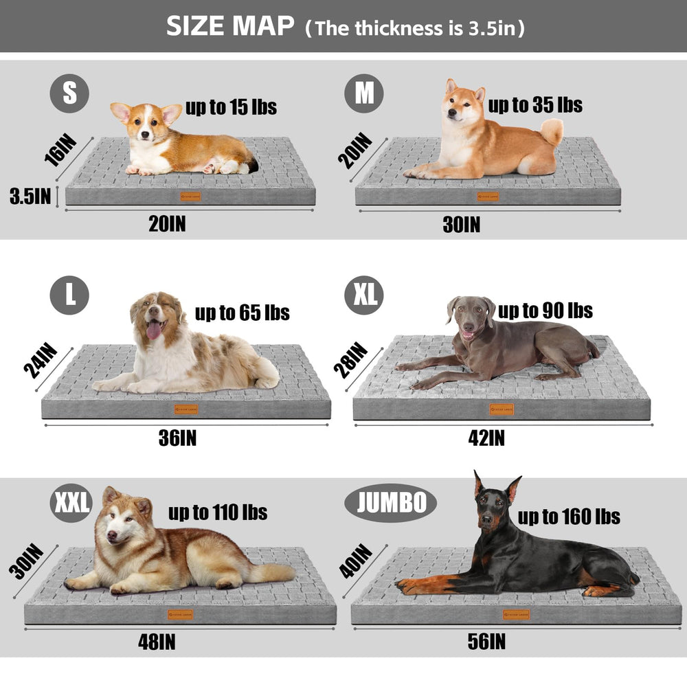 Patas Lague opciones múltiples de talla y color para cada mascota.