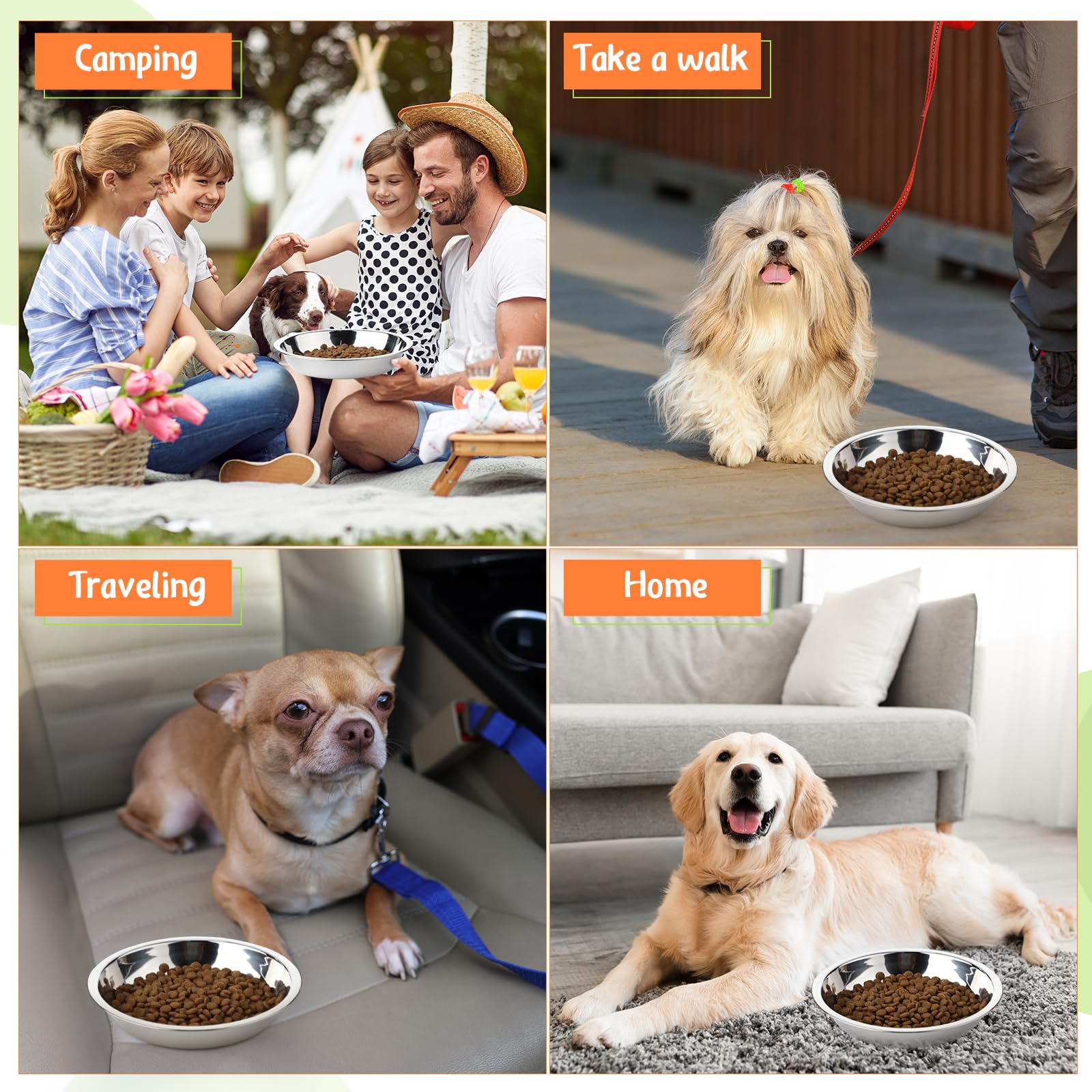 Patelai conjunto 4 tazones para perro y gato, ideal para rutinas diarias.