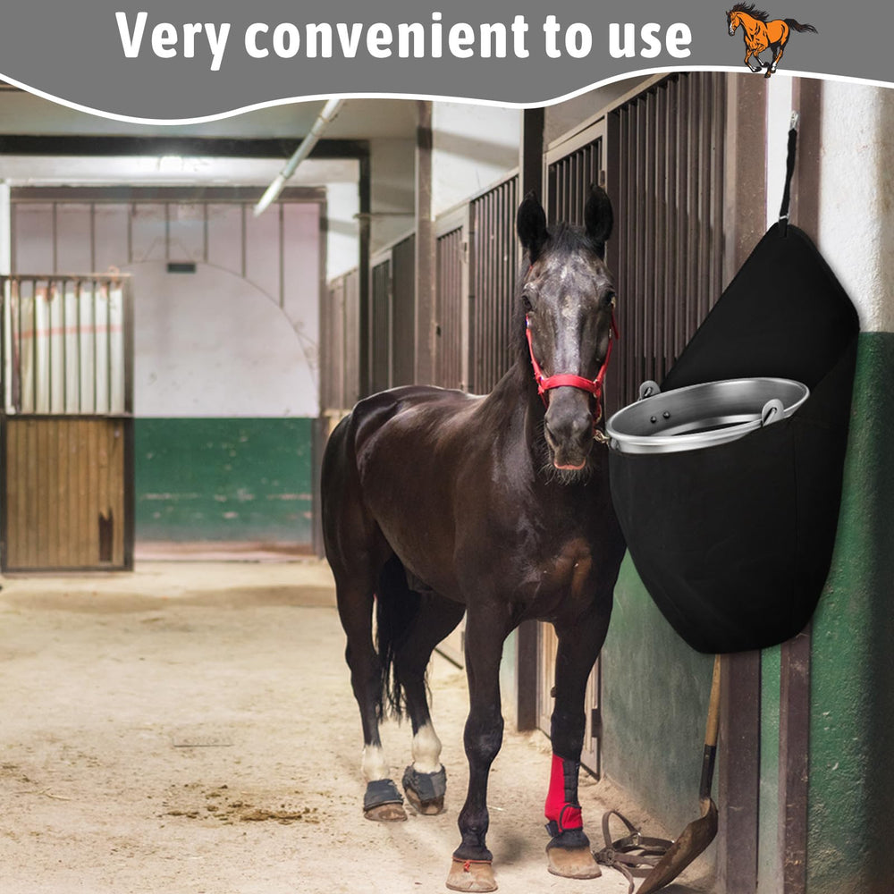 Paterr conjunto 2 piezas, solución práctica para agua de caballos en ruta.