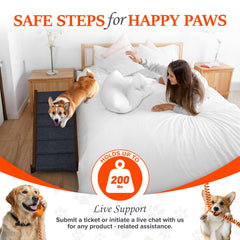 Pathosio Pets rampa con alfombra gris antideslizante y seguridad.