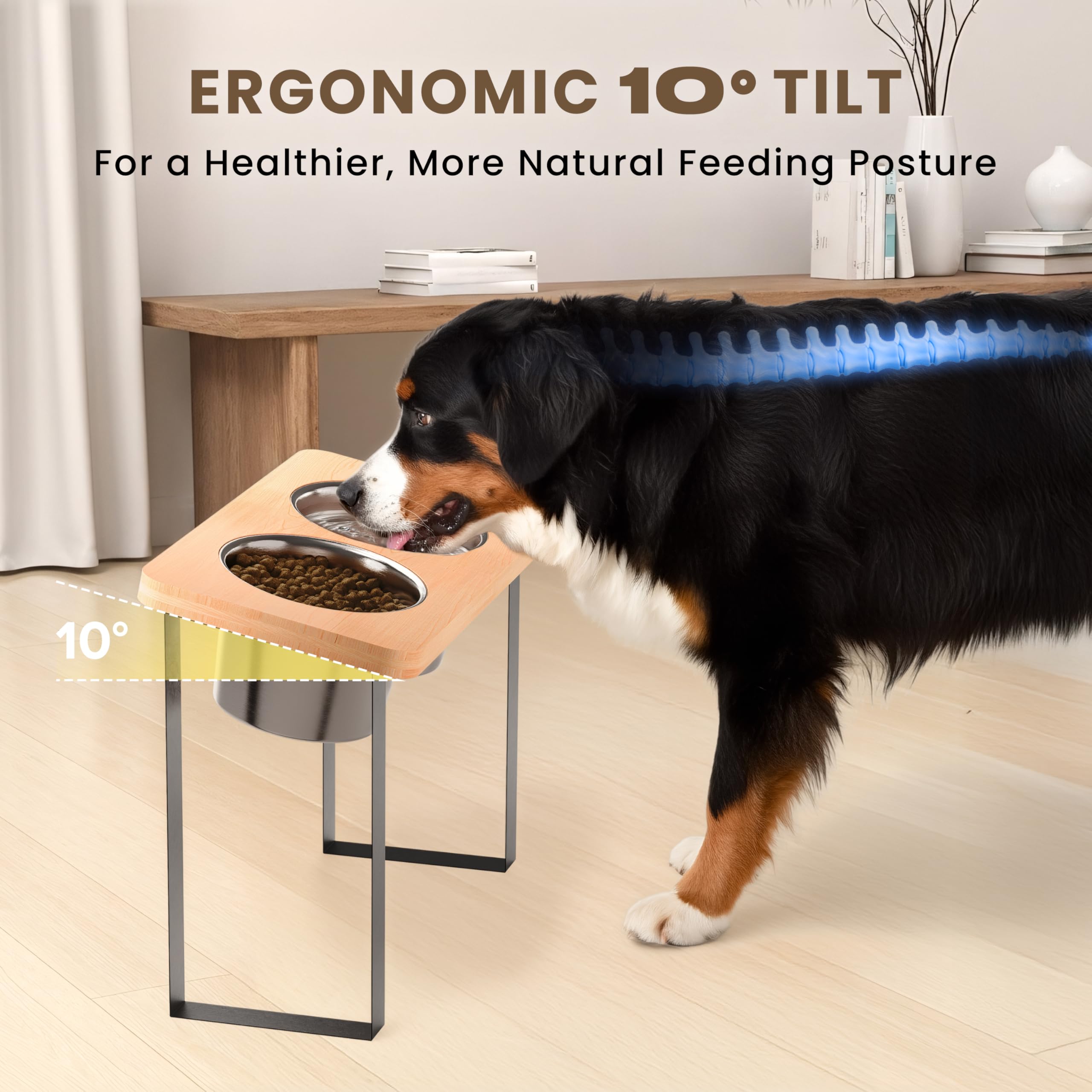 PATHOSIO PETS capacidad de 51,7 onzas para medir porciones y evitar derrames.