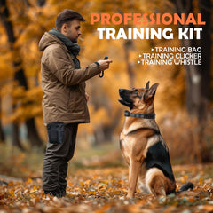 PATPET sistema con 101 niveles de entrenamiento para ajustar la corrección.