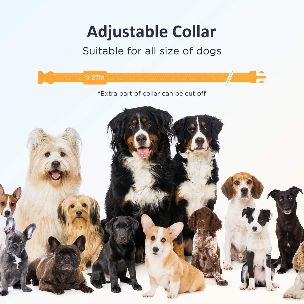 PATPET collar ajustable para cuellos de diferentes tamaños, cómodo y seguro.