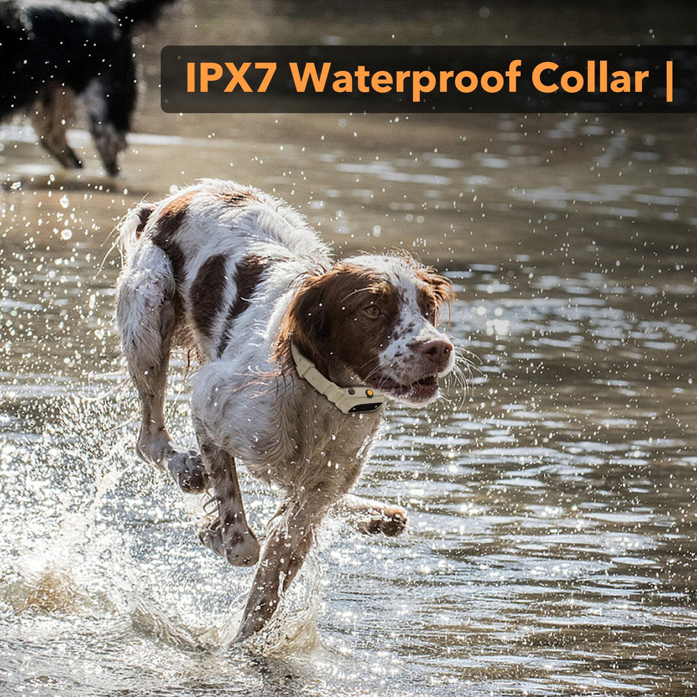 PATPET collar impermeable IPX7 permite entrenamiento bajo lluvia sin preocupaciones.